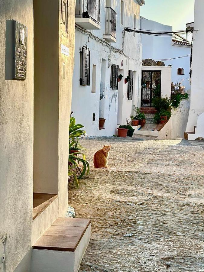 El Corralon Guest House Frigiliana Ngoại thất bức ảnh